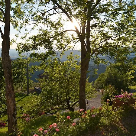 Tenuta Lonciano Sesto Fiorentino