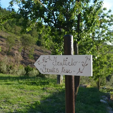 Bed & Breakfast Tenuta Lonciano *