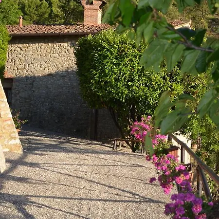 Tenuta Lonciano *