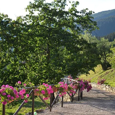 Bed & Breakfast Tenuta Lonciano Sesto Fiorentino