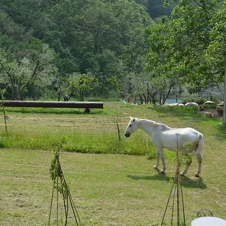 Bed & Breakfast Tenuta Lonciano Sesto Fiorentino