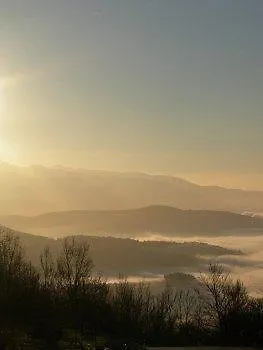 Tenuta Lonciano
