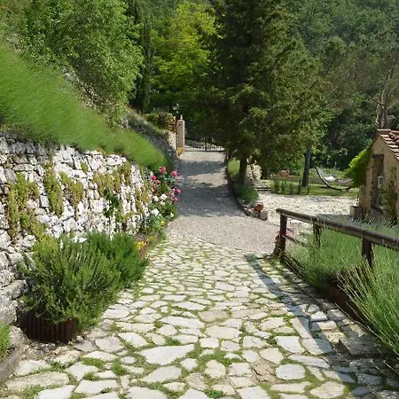 Tenuta Lonciano