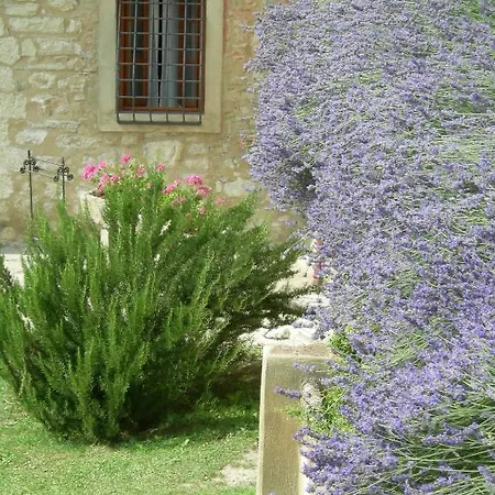 Tenuta Lonciano Sesto Fiorentino